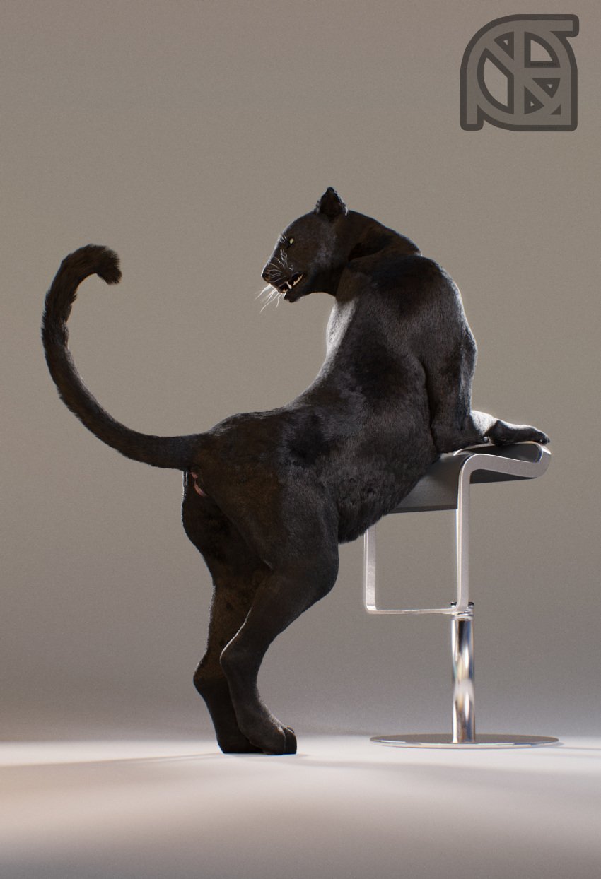 3d animal_genitalia anthro anus ass black_fur chair cosmiclife feline female feral fur hi_res mammal pantherine pinup pose pussy raised_tail realistic semi-anthro solo stool valencia whiskers