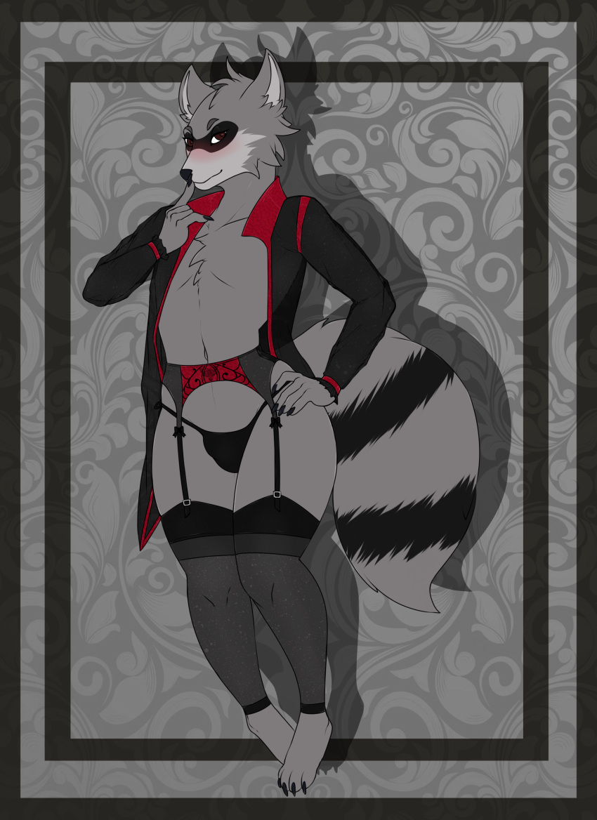 anthro bagworm_(artist) blush bulge clothed clothing crossdressing dante_(raccoon) fur garter_belt garter_straps girly legwear lingerie male mammal panties partially_clothed paws procyonid raccoon solo thong underwear