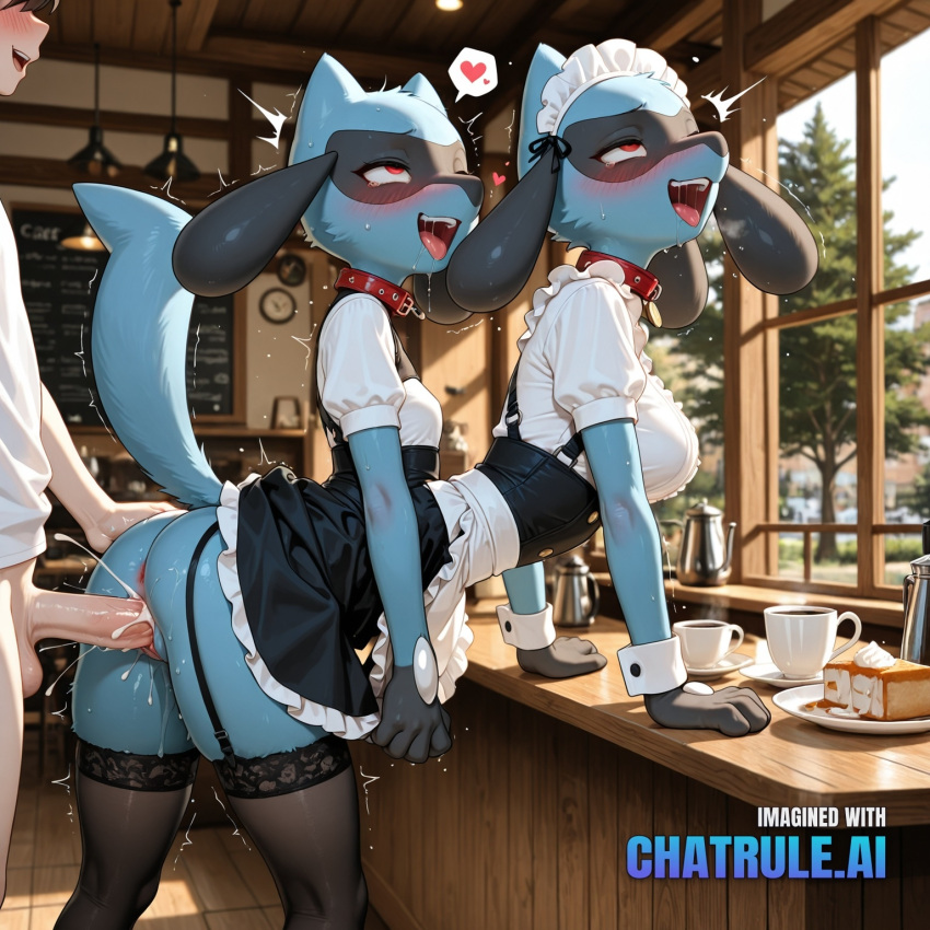 Riolu Rule 34 Image