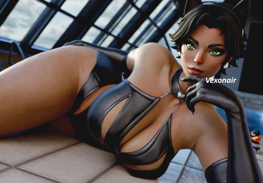 Catwoman (Batman (Series)) Rule 34 Image
