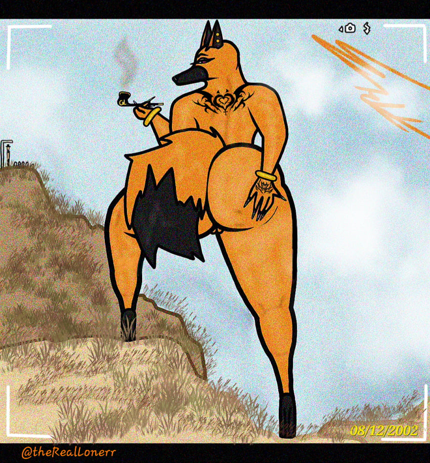 Anthro Rule 34 Image