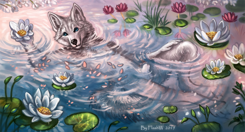 2019 5_fingers animal_genitalia anthro balls black_nose blue_eyes canine day detailed_background fingers flashw flower fur lily_pad male male_only mammal outside partially_submerged plant sheath smile solo water white_fur wolf