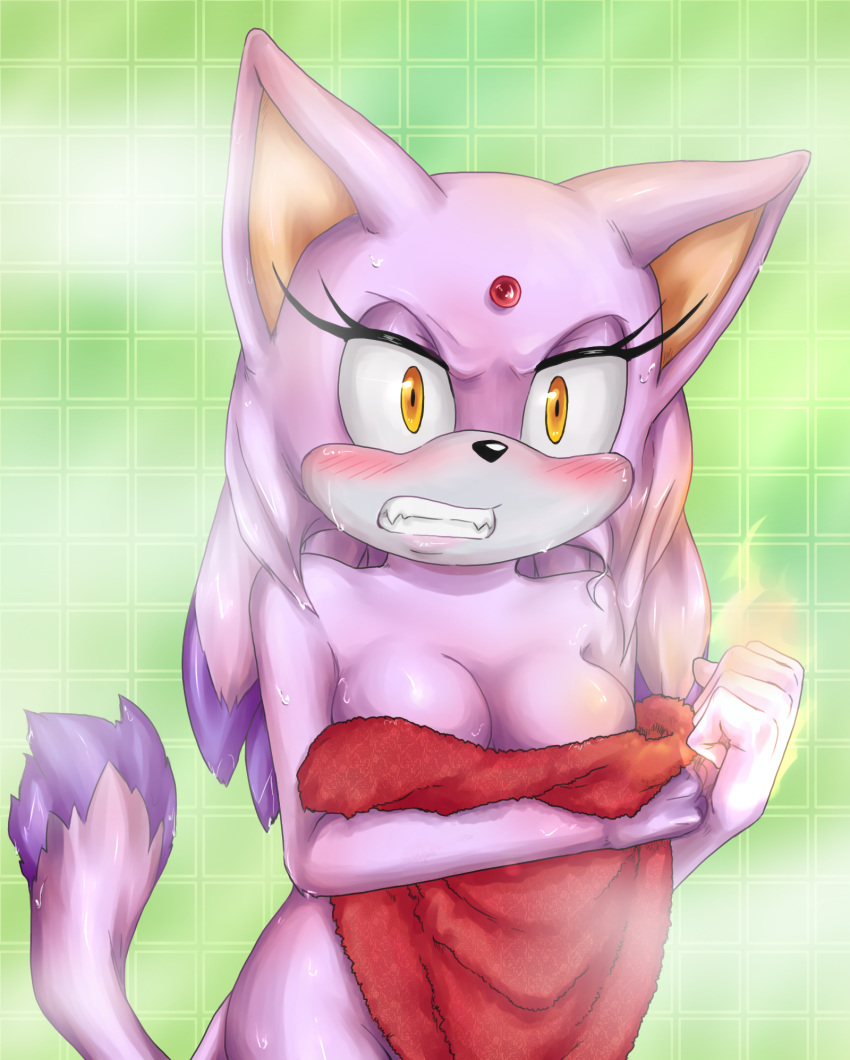 amortem-kun angry anthro blaze_the_cat blush breasts eyelashes feline female fire fist fog hair mammal nude png solo sonic_(series) towel water wet