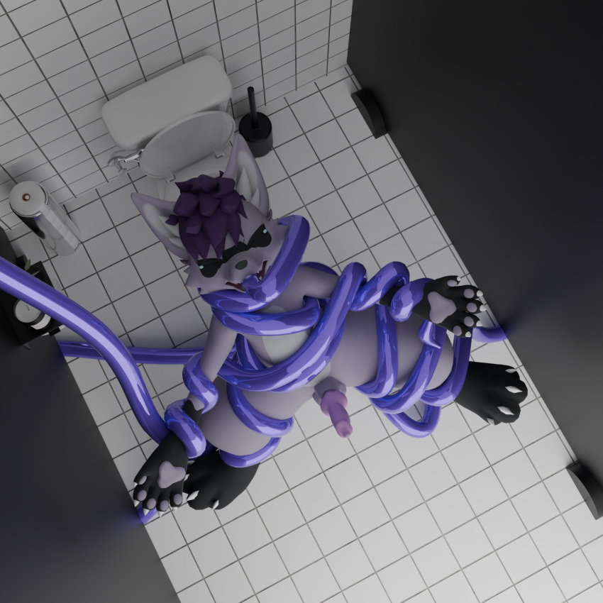 Regulus (Species) Rule 34 Image
