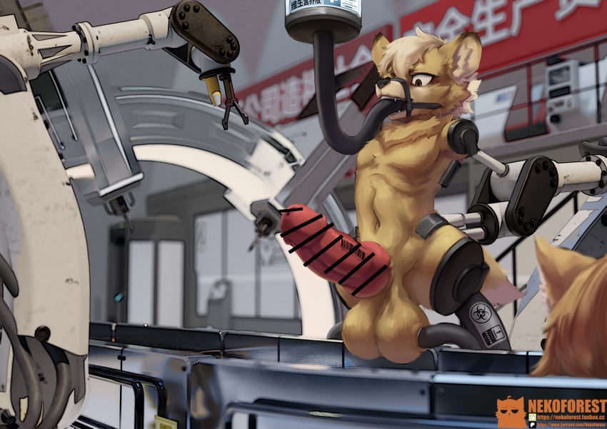 4 Missing Limbs Rule 34 Image