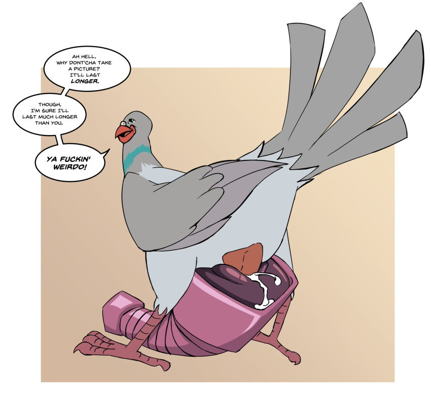 Adult Swim Rule 34 Image