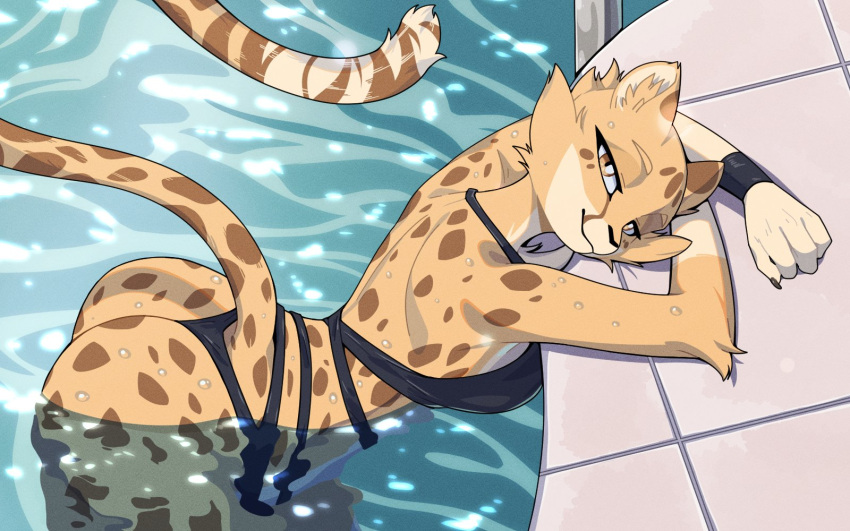 16:10 2025 akino_(el-k) anthro arching_back ass athletic athletic_female bikini_bottom bikini_top cheetah digital_media_(artwork) felid feline female fit fit_female hi_res looking_at_viewer mammal nulia solo tagme water widescreen