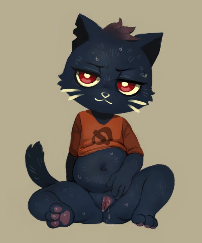 anthro bottomless clothed clothing crookedtrees cynk dark_blue_fur domestic_cat feet feline female hi_res looking_at_viewer mae_(nitw) mae_borowski mammal navel night_in_the_woods presenting presenting_pussy pussy red_eyes shirt slightly_chubby solo spread_pussy spreading video_games