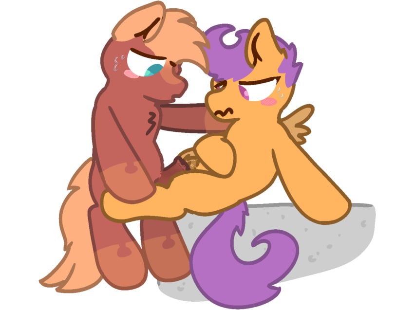 1boy 1boy1girl 1girl1boy 1girls blush brony canon_x_oc ciphertrot_(nitrox) clop concrete cub duo equine_genitalia equine_penis eyelashes female feral_female feral_male feral_on_feral feral_only first_time first_time_sex flat_colors foal focus focused friendship_is_magic furry hasbro horsecock horsepussy imminent_penetration imminent_sex mlp_g4 mlp_oc my_little_pony nervous nervous_sweat nitrox oc oc_x_canon original_character o~o pegasus pony scootaloo_(mlp) sexual_exploration sitting straight tail wings young