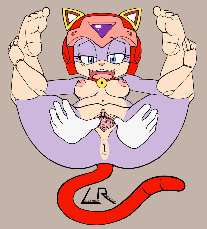 1girls 2013 anthro anus blue_eyes breasts curvaceous domestic_cat feline female fur furry gaping_pussy helmet kemono leatherruffian legs_up mammal nipples pink_fur polly_esther pussy samurai_pizza_cats sonic_(series) spread_legs spread_pussy tail thick_thighs wide_hips