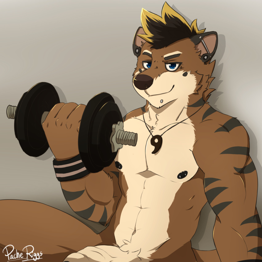 2018 anthro athletic biceps black_hair blue_eyes brown_fur canine crotch_tuft dumbbell ear_piercing exercise facial_piercing fur hair hi_res humanoid_penis hybrid jewelry kyo_(kiasano) looking_at_viewer magatama male male_only mammal mustelid navel necklace nipple_piercing nipples nude otter pache_riggs penis piercing simple_background sitting smile smirk solo vein veiny_penis weightlifting weights workout