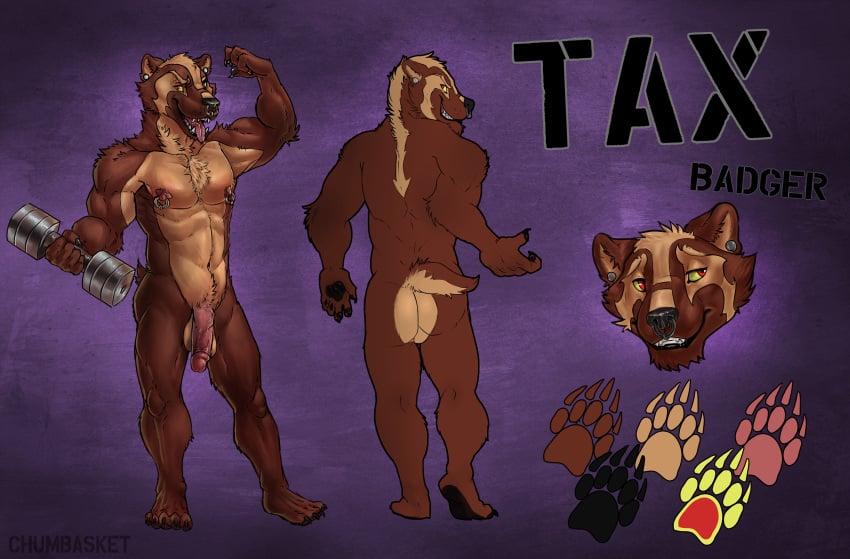 anthro artist_name ass badger balls black_nose brown_body brown_fur chumbasket ear_piercing exercise facial_piercing fangs flaccid foreskin front_view fur gauged_ear genitals hi_res humanoid_genitalia humanoid_penis looking_at_viewer looking_back looking_back_at_viewer male male_anthro mammal model_sheet multiple_piercings muscular muscular_anthro muscular_male mustelid musteline nipple_piercing nipple_ring nipples nose_piercing nose_ring nude open_mouth penis piercing rear_view red_eyes red_penis retracted_foreskin ring_piercing septum_piercing septum_ring simple_background solo standing tan_balls tan_body tan_fur teeth text tongue tongue_out uncircumcised weightlifting workout yellow_sclera
