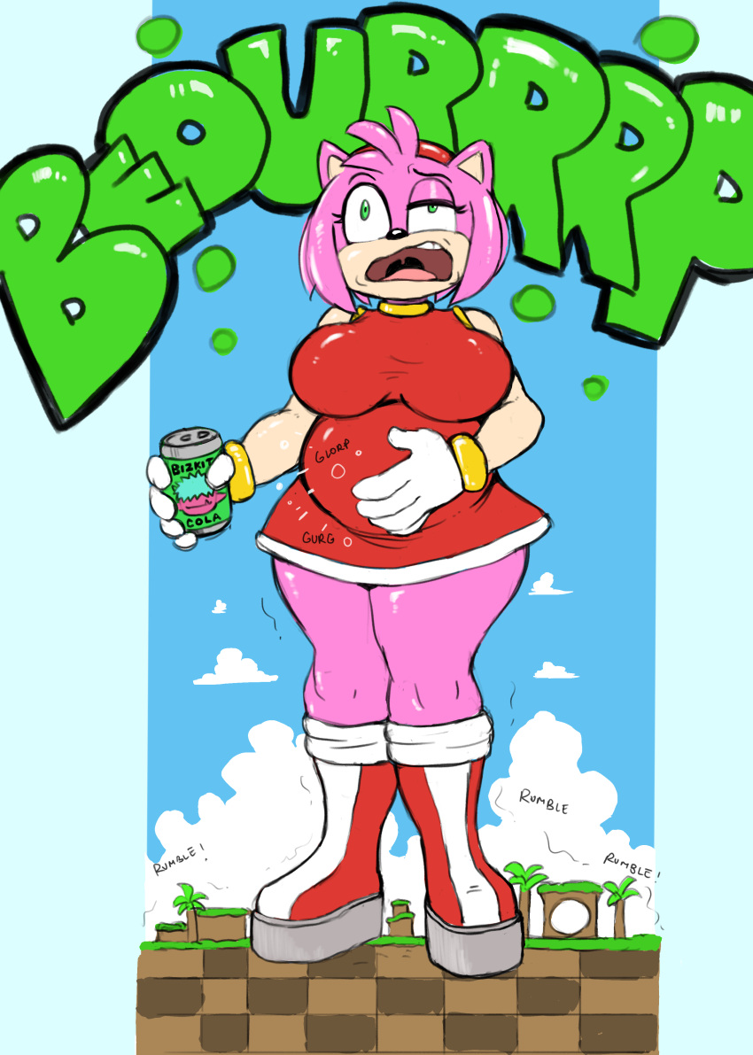 Amy Rose (Sonic (Series)) Rule 34 Image