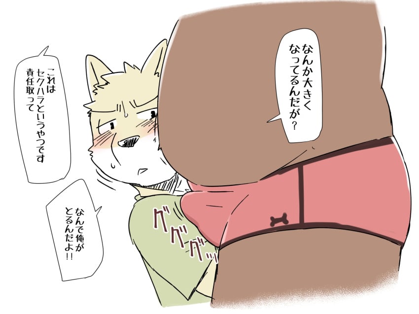 2024 anthro belly black_nose blush brown_body bulge canid canine clothing dialogue duo hi_res inuryu japanese_text kemono male mammal overweight overweight_male simple_background text underwear white_background