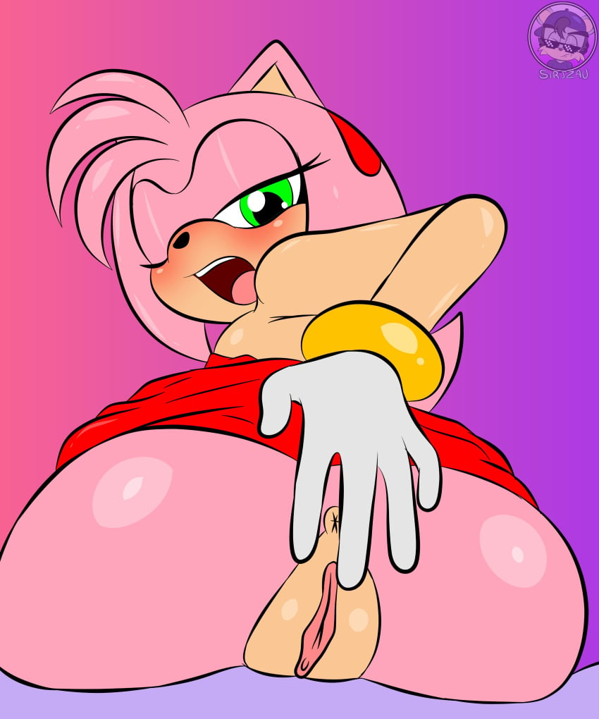 absurd_res accessory amy_rose anthro anus ass breasts butt_focus clothed clothing eulipotyphlan female fur genitals gloves green_eyes hair hair_accessory half-closed_eyes hand_on_butt handwear hedgehog hi_res looking_at_viewer looking_back looking_back_at_viewer looking_pleasured mammal narrowed_eyes one_eye_closed open_mouth partially_clothed pink_body pink_fur pink_hair pussy sega sirjzau solo sonic_the_hedgehog_(series) tail