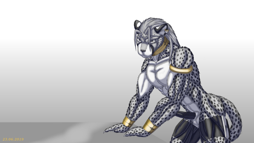 abs anthro_cheetah biceps black_penis bodybuilding boner cheetah dong giant ginkaze gray grey muscle muscles muscular pecs penis pin_up silver