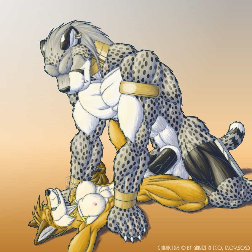 abs acinonyx anthro athletic biceps bodybuilding cheetah eco female_fox giant ginkaze gray grey having_sex muscle muscles muscular orgasm orgasms pardinensis pecs sex silver