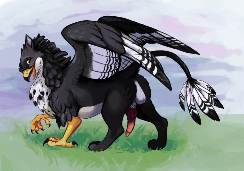 2015 anatomically_correct animal_genitalia animal_penis ass avian balls beak bhaskara bird black_feathers erection feathered_wings featherhead feathers feral fur gryphon knot looking_at_viewer male mammal open_mouth outside penis solo tail_feathers talons white_feathers wings yellow_eyes