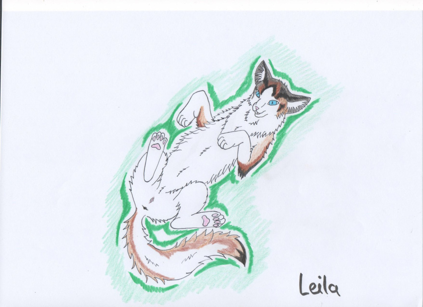 2019 anus ass blue_eyes brown_fur denik fan_character feline female feral fur leila_(dk) mammal nude open_mouth presenting presenting_hindquarters pussy simple_background smile solo unknown_artist warriors_(cats) white_fur