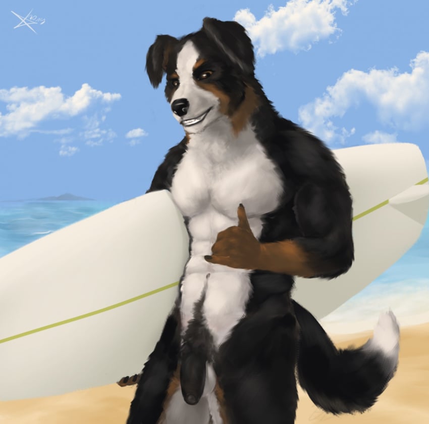 abs balls beach biceps black_fur board brown_fur canine fur male male_only mammal multicolored_fur muscular penis pubes sea seaside solo swimboard tintiai water white_fur