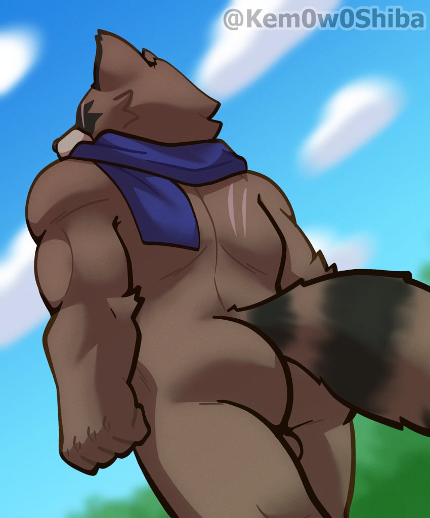 absurd_res anthro ass balls blue_scarf brown_body brown_fur canid canine english_text epic_games facial_scar fortnite fur genitals hajime_(fortnite) hi_res kem0w0shiba male male/male mammal muscular muscular_male nude only_scarf raccoon_dog scar scarf simple_background solo stain tail tanuki text