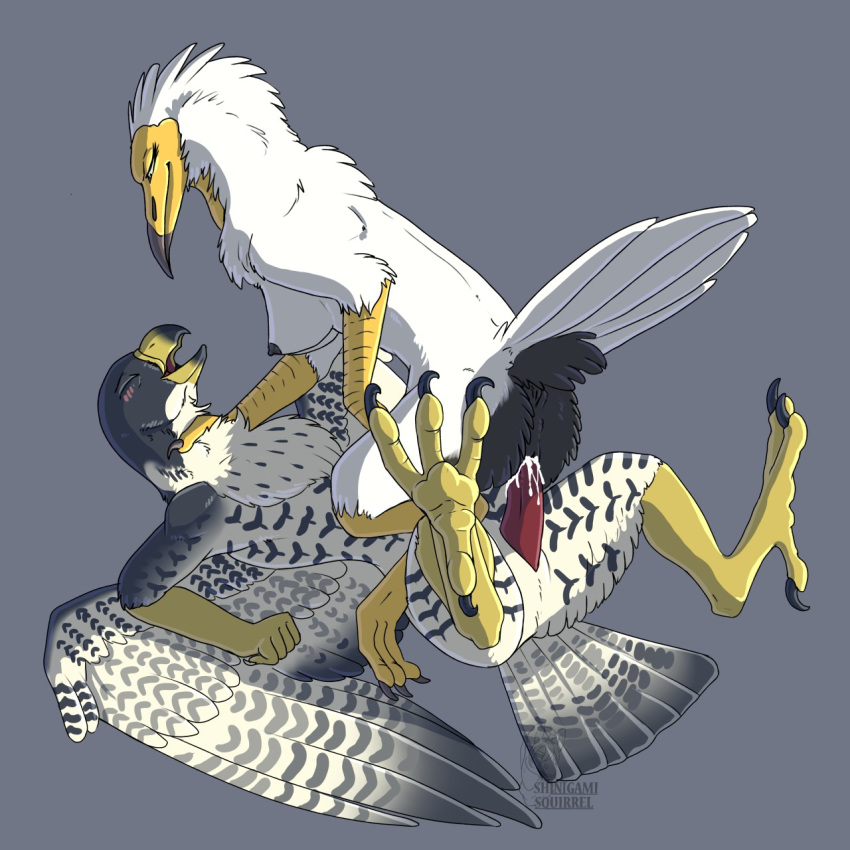 anisodactyl anthro anus avian beak bird blush breasts claws closed_eyes cowgirl_position cum cum_in_pussy cum_inside egyptian_vulture eyelashes falcon feathers female highres looking_pleasured lying male nipples non-mammal_breasts on_back on_top penis peregrine_falcon pussy sex shinigamisquirrel smile straight tail_feathers talons tiercel toe_claws vulture white_feathers wings