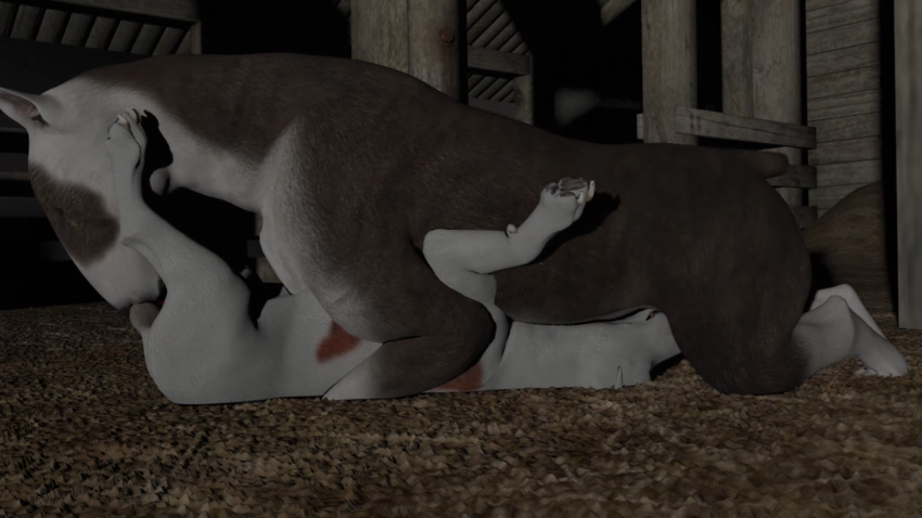 Canine Rule 34 Image
