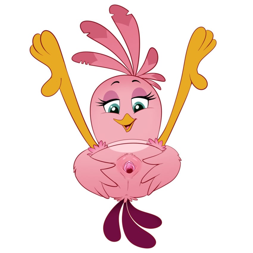 2019 angry_birds avian beak bird blue_eyes cloaca columbia_pictures feathers female half-closed_eyes lonbluewolf open_mouth pink_feathers presenting presenting_pussy pussy rovio rovio_animation rovio_entertainment sega simple_background solo sony stella_(angry_birds) the_angry_birds_movie tongue video_games white_background