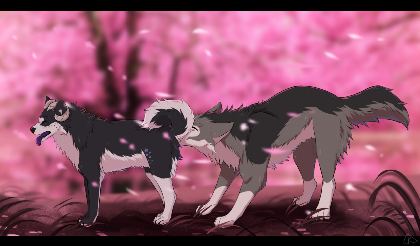 Digital Drawing (Artwork) Rule 34 Image