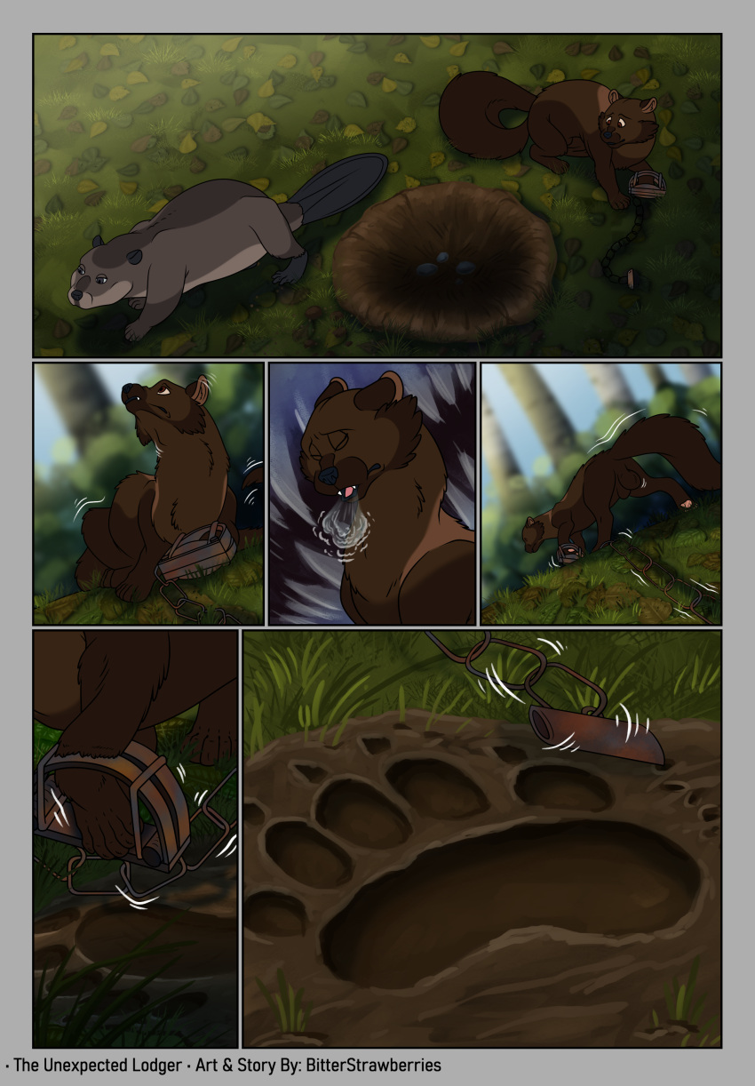 Fisher (Animal) Rule 34 Image