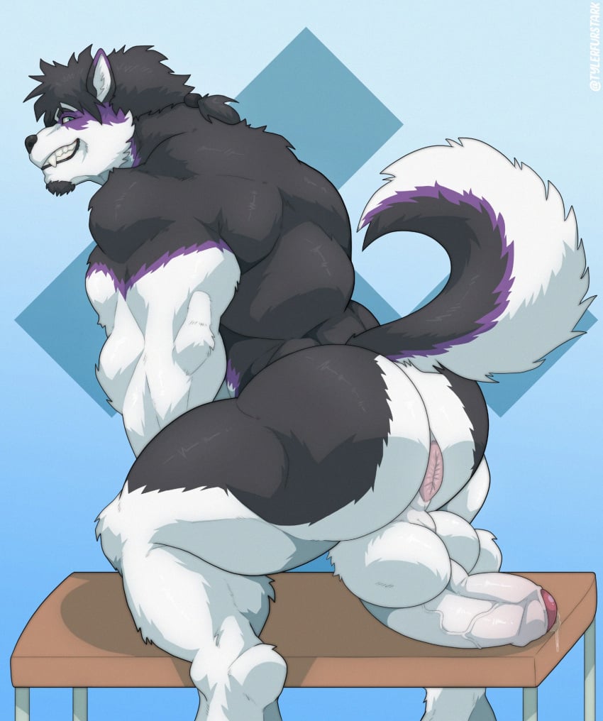 anthro ass balls bara barazoku big_ass big_balls big_penis canine canine domestic_dog flaccid furry husky male male_only muscles muscular nude penis solo solo_male tylerstark