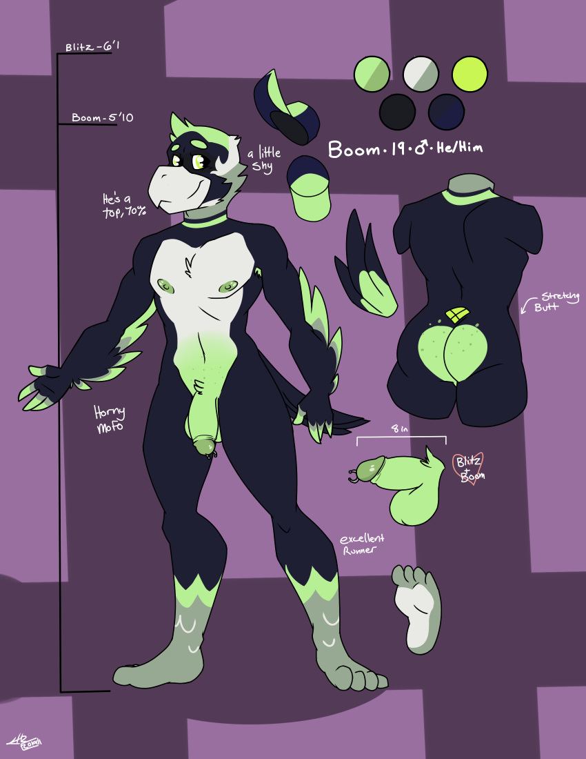 1boy 2019 anthro armpit_hair ass avian balls bird boom_(seahawks) hawk male male_only mascot model_sheet nfl nipples nude penis seattle_seahawks solo sport sylvanedadeer