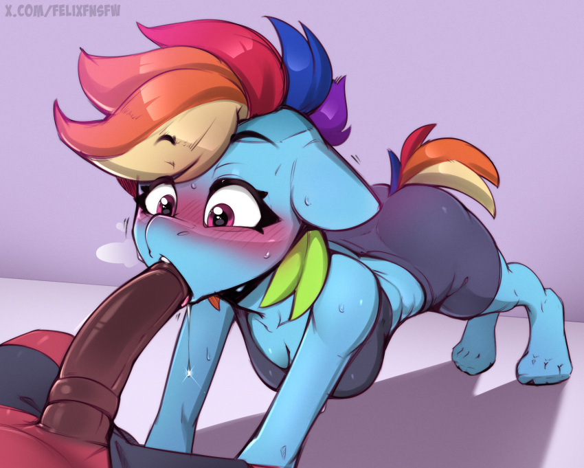 Rainbow Dash (Mlp) Rule 34 Image