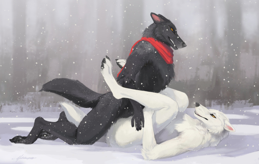 2018 ambiguous_penetration anthro anthro_on_anthro anvil_position black_fur black_nose canid canine canis duo female fur highres legs_up lying male male_penetrating mammal nude on_back outside penetration sex signature snow snowfoxatheart straight white_fur wolf