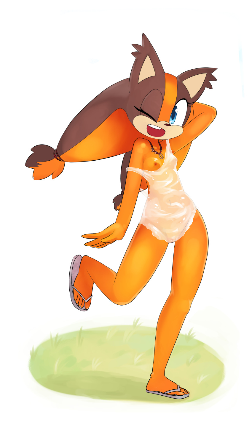 Sticks The Badger (Sonic (Series)) Rule 34 Image