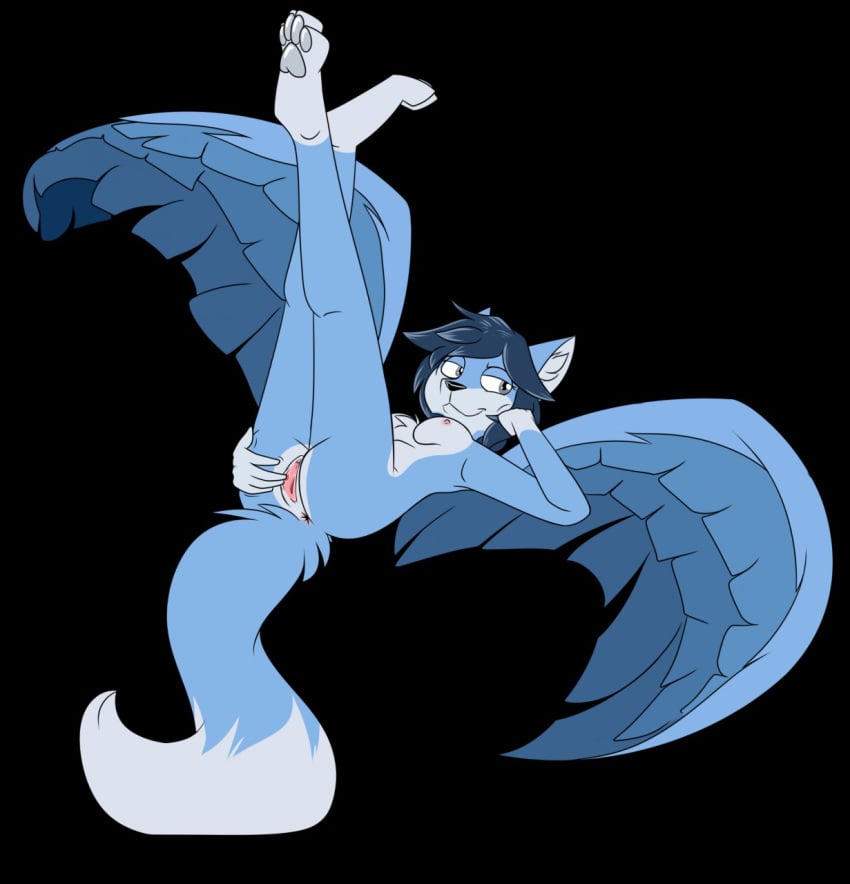 anthro anus ass blue_fur blue_hair breasts canid canine female fox fur grey_eyes grey_pawpads hair inner_ear_fluff mammal nipples pawpads presenting pussy ryofox630 smile solo spread_pussy spreading white_fur wings