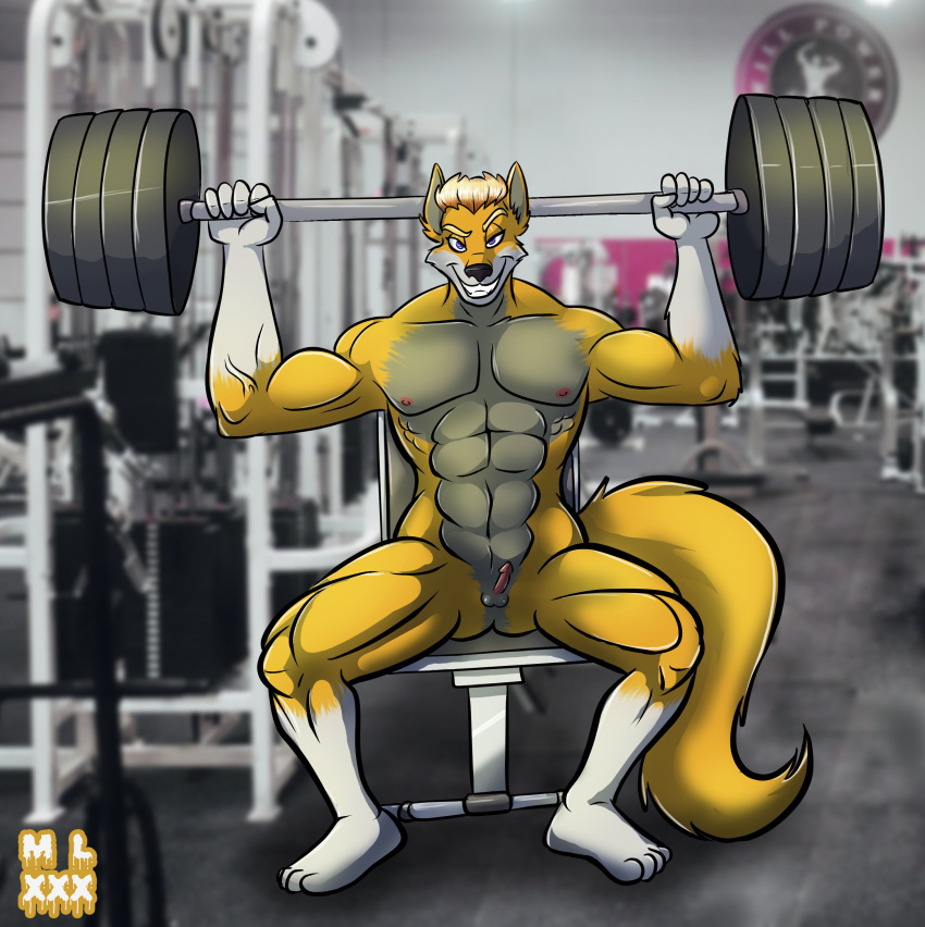 1boy anthro balls blake canid canine canis erection gym hi_res male male_only mammal micropenis mlock muscular penis small_balls solo wolf work_out