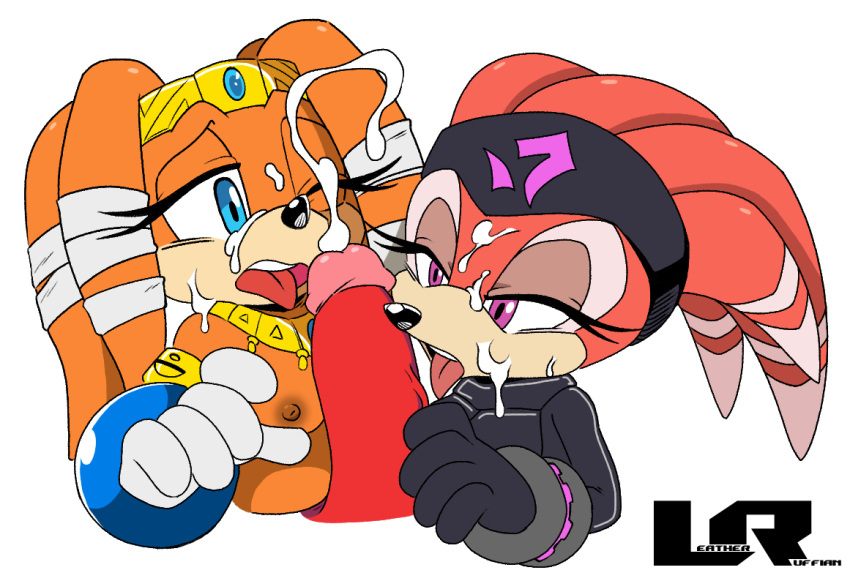 Knuckles The Echidna (Sega) Rule 34 Image
