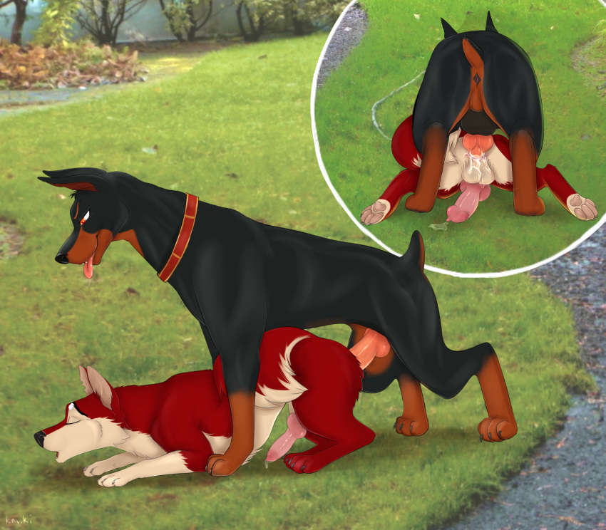 absurd_res anal anal_sex anatomically_correct anatomically_correct_penis animal_genitalia animal_penis anus ass balls black_nose canid canine canine_penis canis closed_eyes collar cum cum_on_balls cutaway doberman domestic_dog duo erection feral feral_on_feral fur hi_res kaviki klaus knot male male_penetrated male_penetration mammal multicolored_fur nude outside pawpads paws penetration penis photo_background quadruped sex tongue tongue_out two_tone_fur yaoi