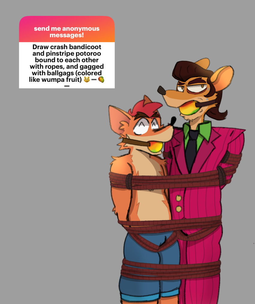 Crash Bandicoot (Activision) Rule 34 Image