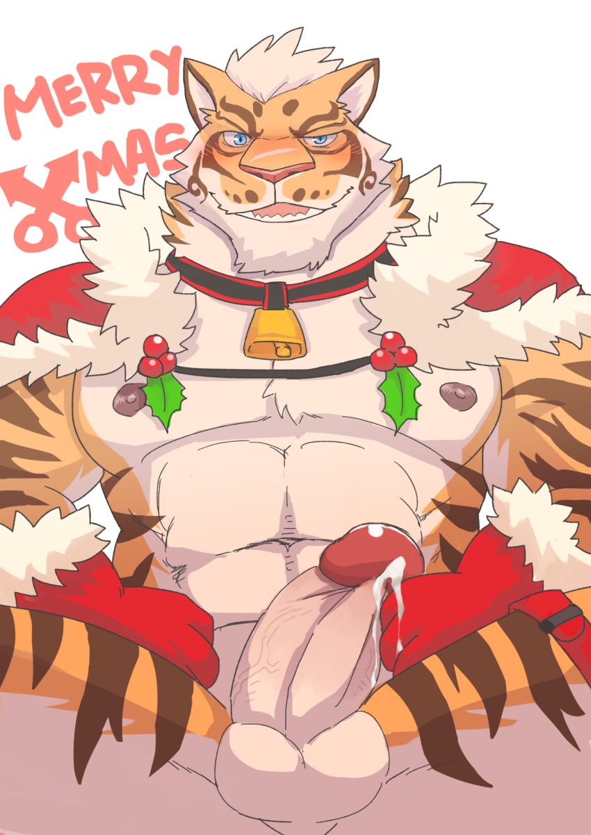 abs anthro balls biceps big_penis blue_eyes blush christmas clothing collar cowbell cum dripping english_text erection felid glans gloves holidays humanoid_penis lin_hu looking_at_viewer male male_only mammal mistletoe mostly_nude muscular muscular_male navel nekojishi nipples open_mouth pantherine pecs penis plant precum presenting sharp_teeth simple_background smile solo spread_legs spreading stripes teeth text thick_penis tiger v2wolf vein veiny_penis ♂