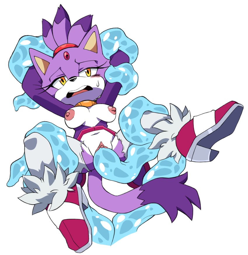Blaze The Cat (Sega) Rule 34 Image