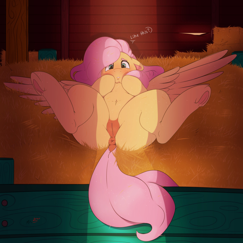 2019 anus blush dock english_text equine feathered_wings feathers female feral fluttershy_(mlp) friendship_is_magic hair hay hi_res inside long_hair looking_at_viewer lying mammal mr._smile my_little_pony on_back pegasus pussy solo spread_legs spreading text wings