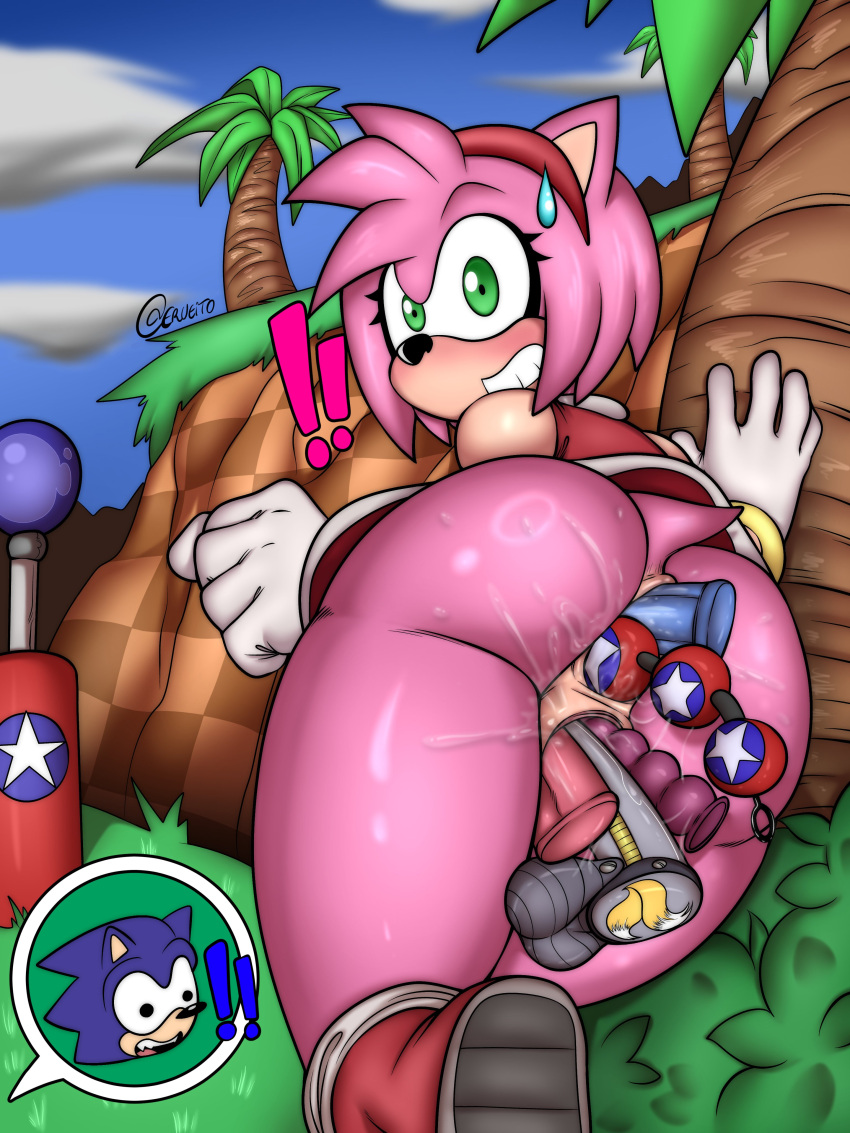 Amy Rose (Sega) Rule 34 Image