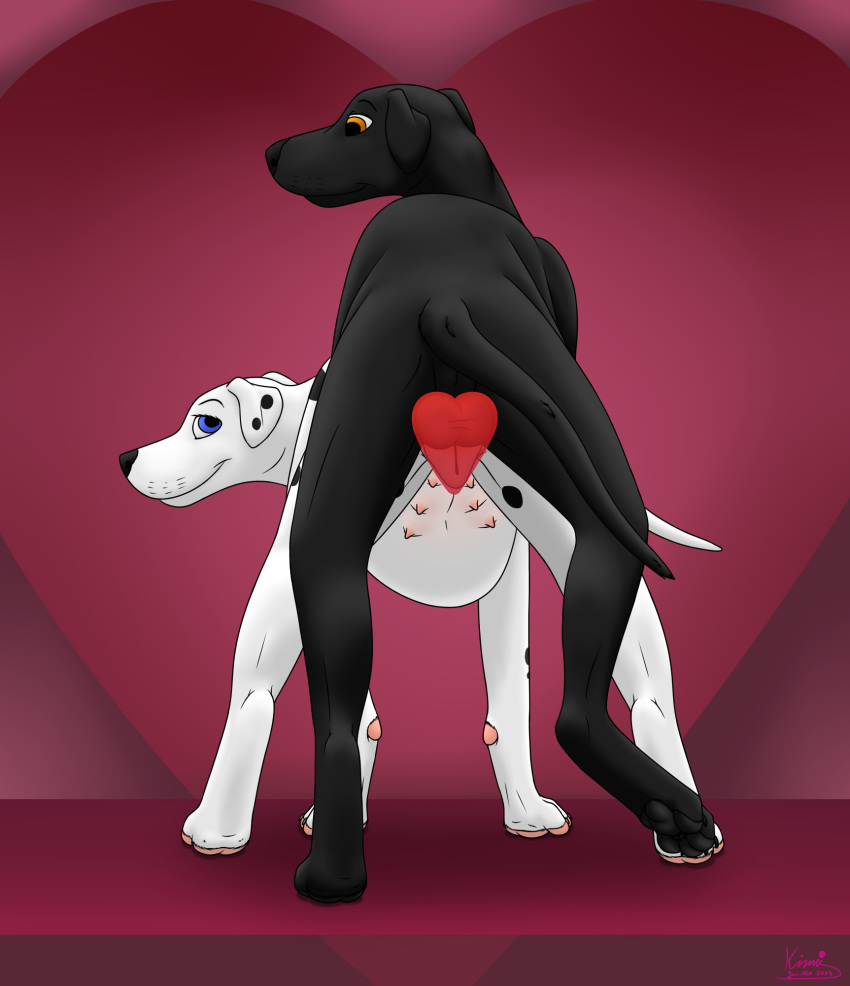 animal_genitalia animal_pussy balls black_labrador canid canine canine_pussy canis dalmatian domestic_dog duo female feral heart highres holidays jack_(kinaj) kinaj labrador male mammal multi_nipple nipples paws pussy straight tania_(kinaj) teats valentine's_day