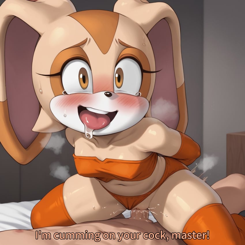 Cream The Rabbit (Sonic (Series)) Rule 34 Image