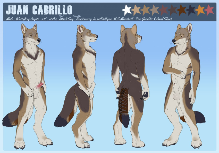 2019 4_toes 5_fingers animal_genitalia anthro balls barefoot biped black_eyebrows blue_nose blue_tail brown_fur brown_tail canid canine canis claws color_swatch coyote digitigrade eyebrows fully_sheathed fur gradient_background grey_claws grey_fur grey_tail homogenousrule juan_cabrillo male mammal model_sheet multicolored_fur multicolored_tail multiple_angles nude penis penis_tip pink_penis sheath simple_background smile solo toe_claws toes whiskers white_balls white_fur white_sheath