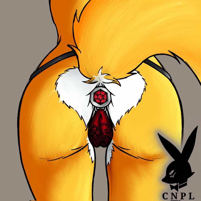 anal anal_sex anthro anus ass bandai_namco butt_focus butt_heart buttplug buttplug_clothing buttplug_in_ass buttplug_insertion buttplug_panties buttplug_underwear camel_toe canid canine close-up clothing couldnotparseline digimon digimon_(species) digital_media_(artwork) female fox fox_tail fur gem hi_res jewel_buttplug lingerie mammal mostly_nude mostly_nude_anthro mostly_nude_female object_in_ass panties penetration plug_(sex_toy) plug_insertion raised_tail rear_view renamon sex_toy sex_toy_in_ass sex_toy_insertion simple_background solo tail underwear white_body white_fur yellow_body yellow_fur