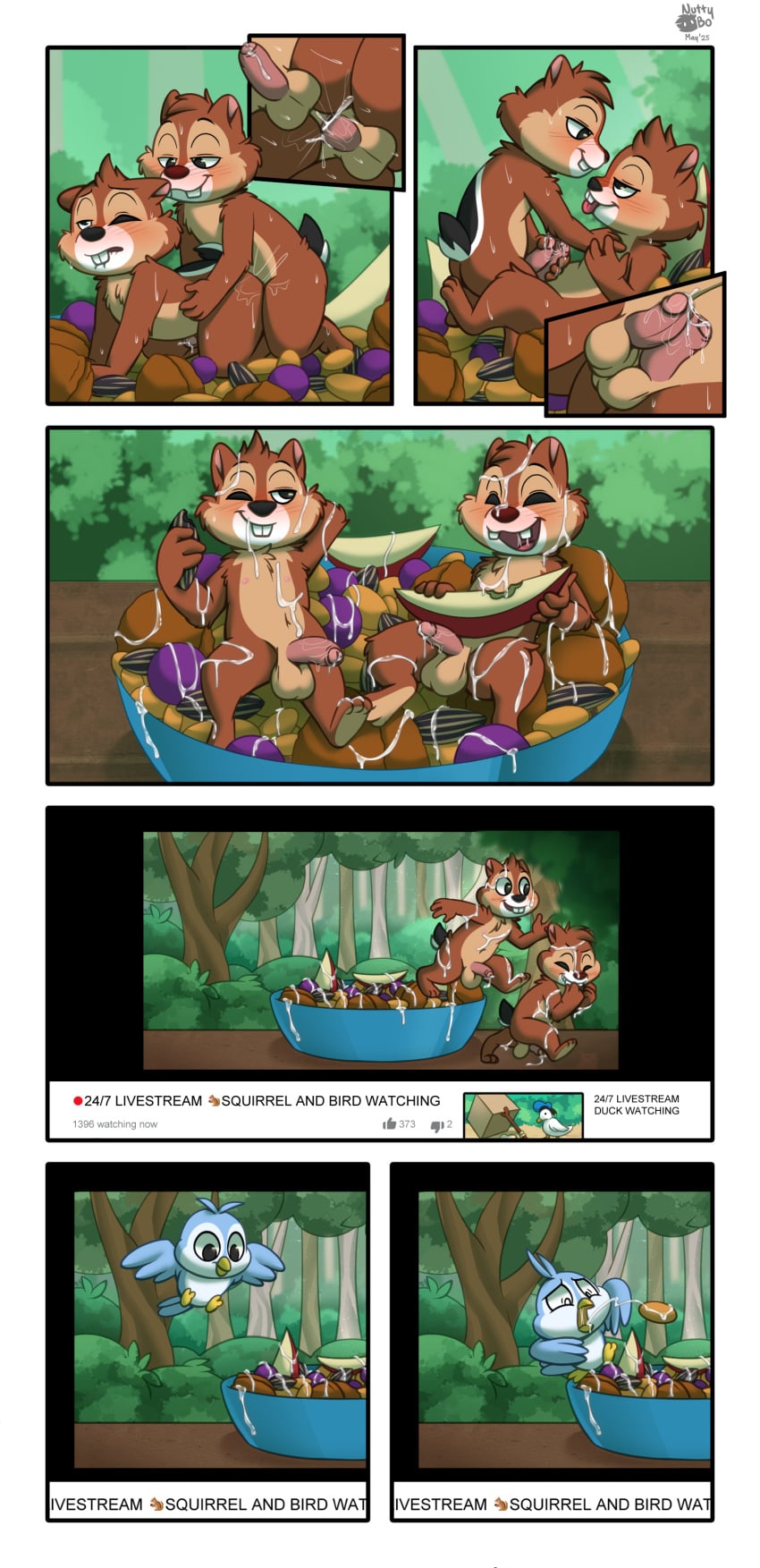 Chip (Chip 'N Dale Rescue Rangers) Rule 34 Image