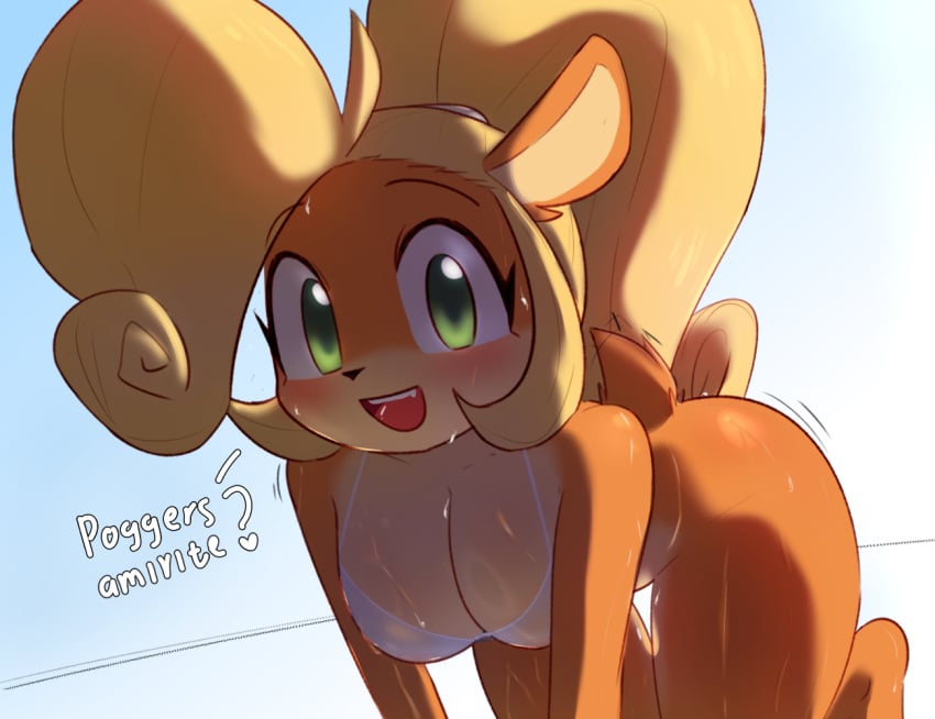 1girls anthro bandicoot big_breasts bikini blonde_hair blush breasts brown_fur coco_bandicoot crash_(series) eyebrows eyelashes female fur furry green_eyes jiggling_ass lawgx long_hair multicolored_body multicolored_fur poggers solo tail text wet white_bra